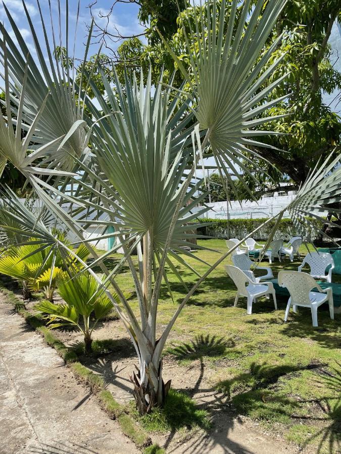 Costa De Vikingos Hotel Tolu Ngoại thất bức ảnh